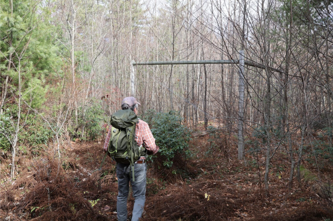 Moose Exclosure Plot