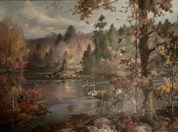Renowned sporting artist George Brown considered “Coolwater Stag,” depicting an autumn scene at Old Man McMullen Pond, then called Great Mountain Pond, to be among his finest technical achievements. The painting was commissioned in the late 1950s by former GMF owner Edward “Ted” Childs. 